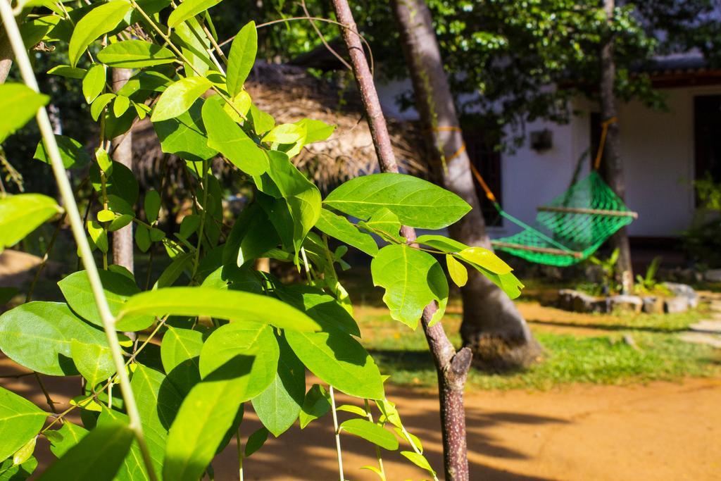 Sigiriya Lahiru Homestay Exterior foto