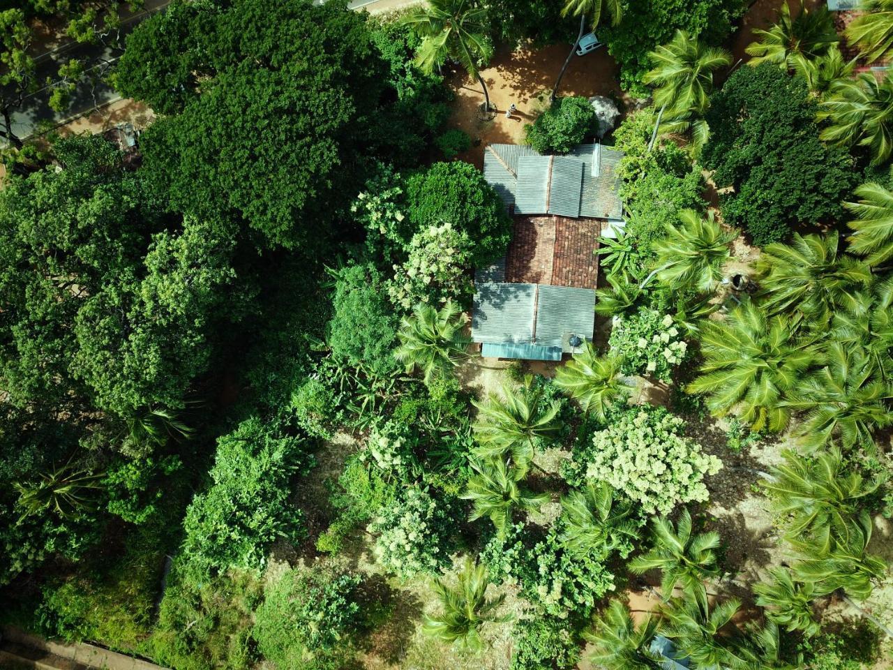 Sigiriya Lahiru Homestay Exterior foto